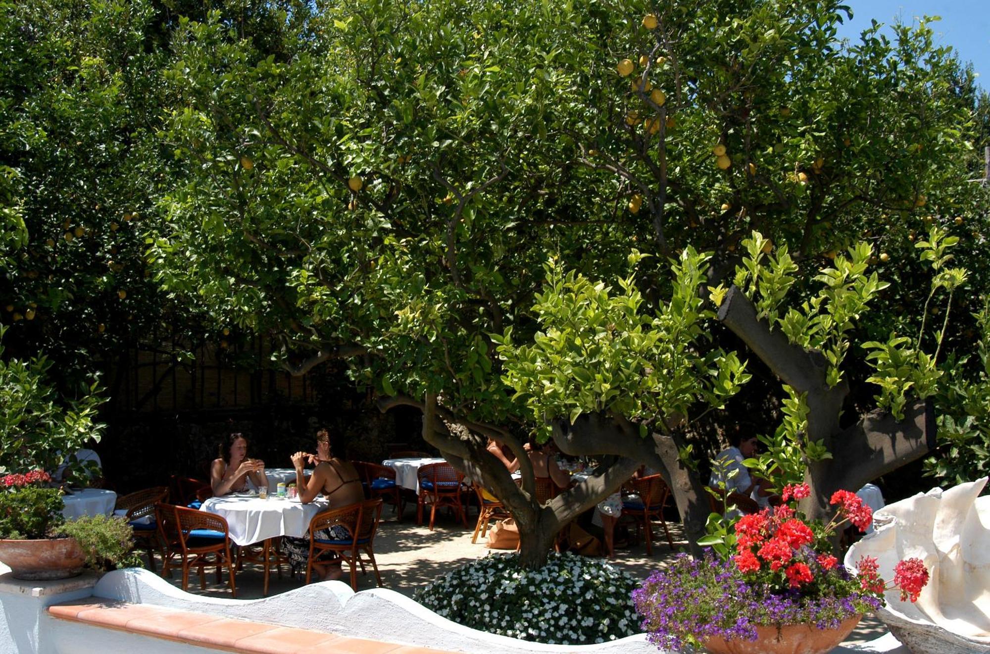 Hotel San Felice Κάπρι Εξωτερικό φωτογραφία