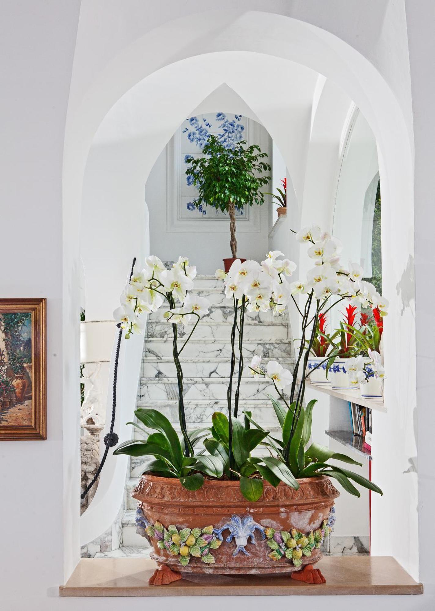 Hotel San Felice Κάπρι Εξωτερικό φωτογραφία