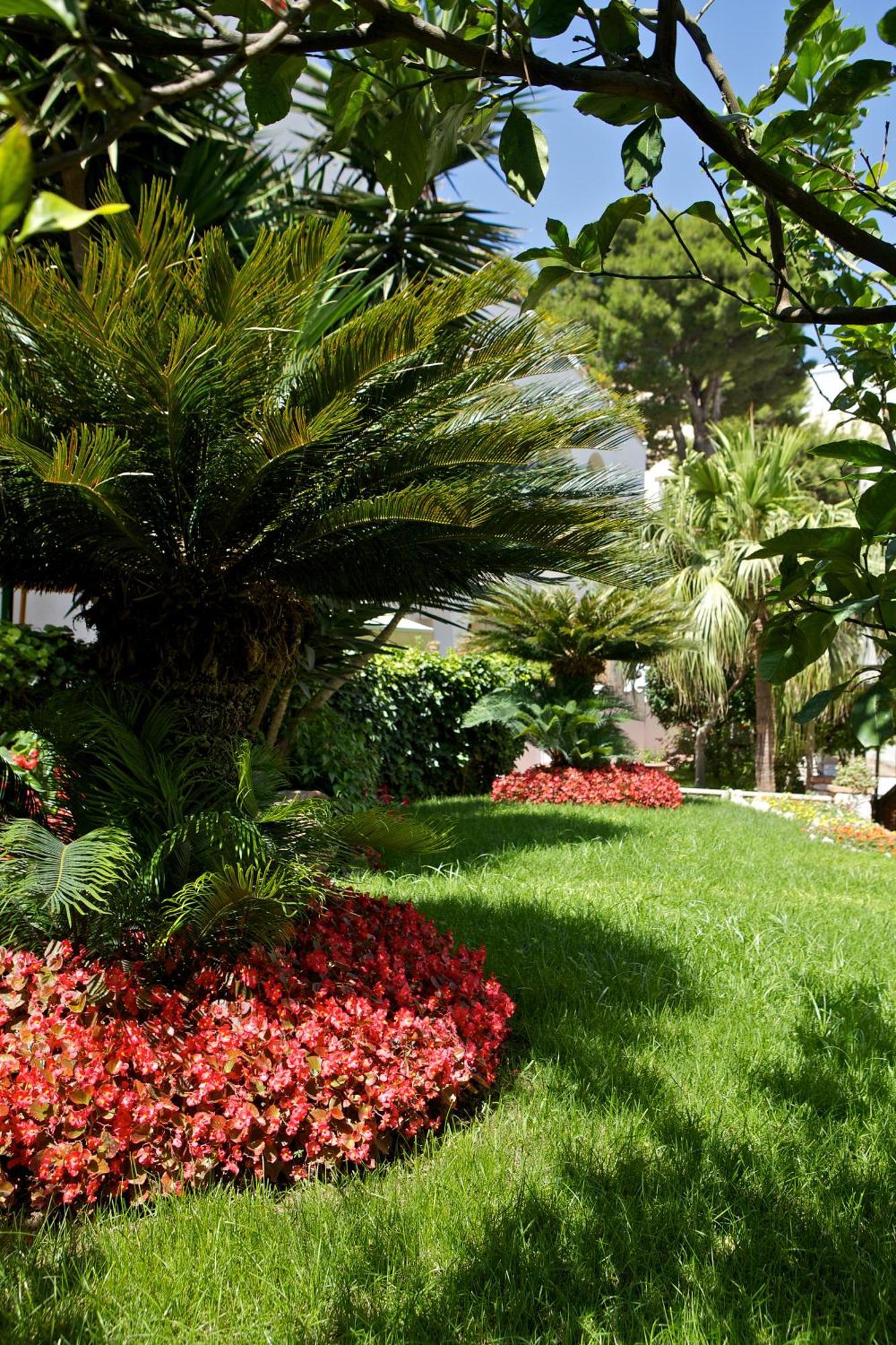 Hotel San Felice Κάπρι Εξωτερικό φωτογραφία